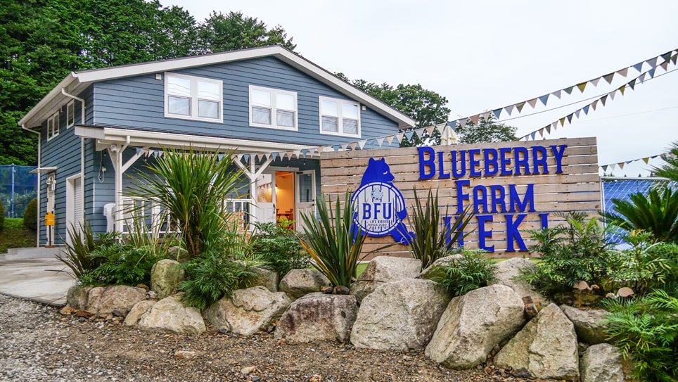 観光農園特集 大粒ブルーベリーをお腹いっぱい召し上がれ Blueberry Farm Ueki とちぎの農村めぐり特集 栃木県農政部農村振興課