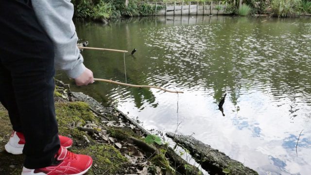 観光農園特集】15種類のぶどうを栽培する「盤峰園」で巨峰狩りを体験 