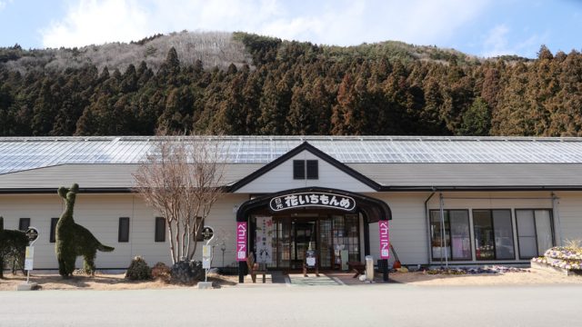 観光農園特集 完熟いちごとカラフルなお花がいっぱい 日光市小佐越にある 花と緑の楽園 花いちもんめ へ とちぎの農村めぐり特集 栃木県農政部農村振興課