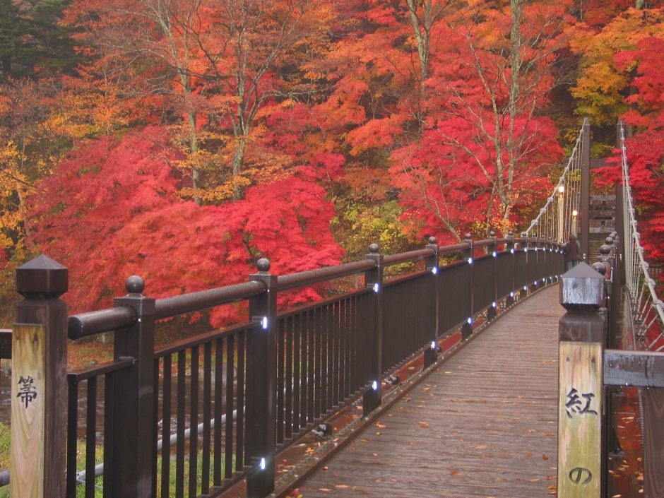 紅の吊橋